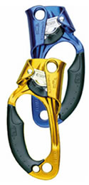 Petzl Ascension